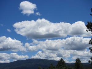 The kind of flat-bottom clouds a glider pilot is always looking for.